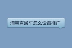 <b>直通车如何定向推广</b>